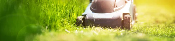 Gras Cutter Maaien Van Het Gazon Zomer — Stockfoto