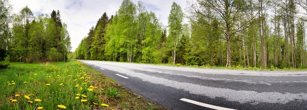 Strada Asfaltata Bella Giornata Primaverile Campagna — Foto Stock