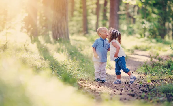 Мальчик Мальчик Целуются Лесу Летом — стоковое фото