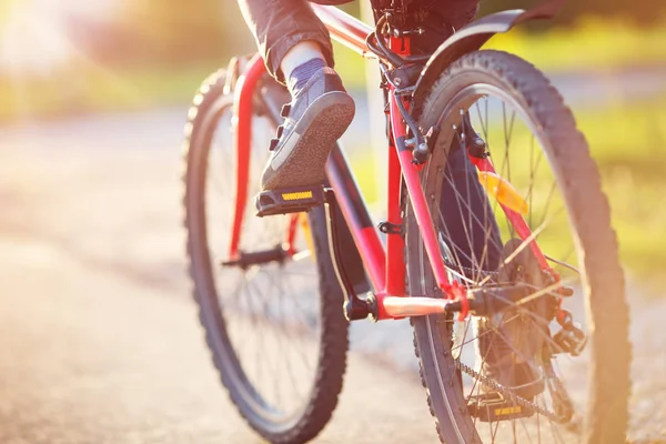 Kind auf dem Fahrrad — Stockfoto