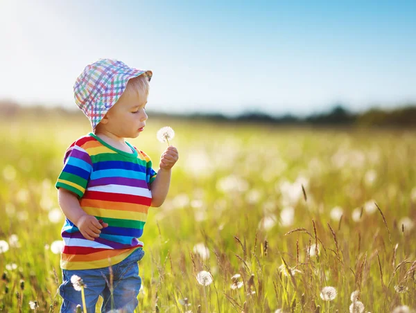 Мальчик, стоящий в траве на поле с одуванчиками — стоковое фото