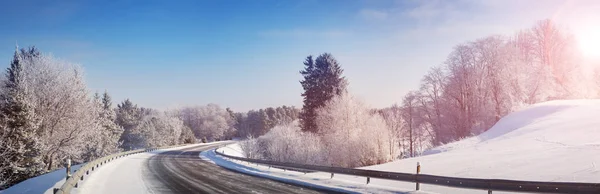 Árboles cubiertos de nieve en el bosque —  Fotos de Stock