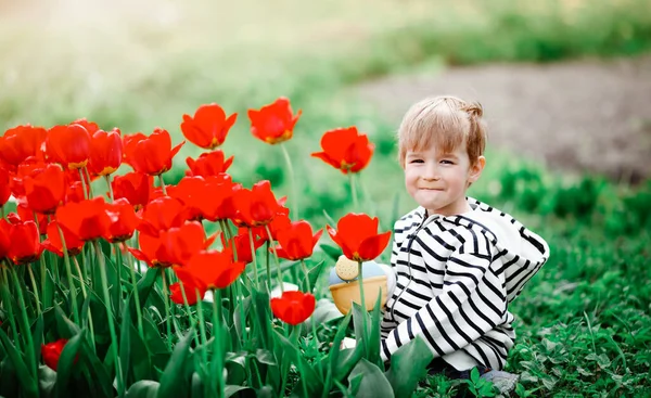 Pequena criança andando perto de tulipas no canteiro de flores em belo dia de primavera — Fotografia de Stock