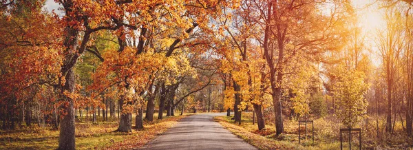 Aleja jesienią — Zdjęcie stockowe