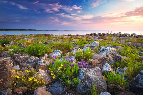 Rocky shores at the sea in sunset light — Stock Photo, Image