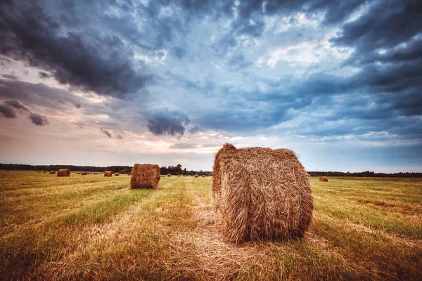 Heuballen am Sommerabend auf dem Feld — Stockfoto