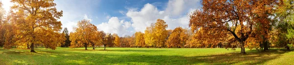 Drzewa w parku jesienią w słoneczny dzień — Zdjęcie stockowe