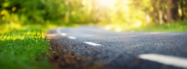 Strada asfaltata e linee di demarcazione nella foresta — Foto Stock