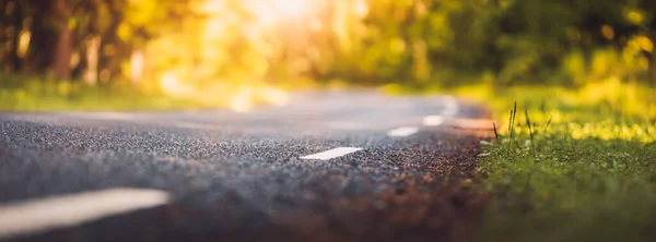 Strada asfaltata e linee di demarcazione nella foresta — Foto Stock