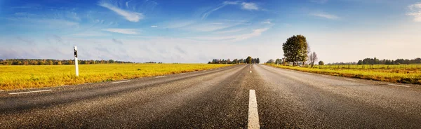 Асфальтована Дорожня Панорама Сільській Місцевості Сонячний Осінній День Дорога Роздільними — стокове фото