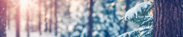 Vackert Träd Täckt Med Snö Frostig Dag Snöfall Snö Som — Stockfoto
