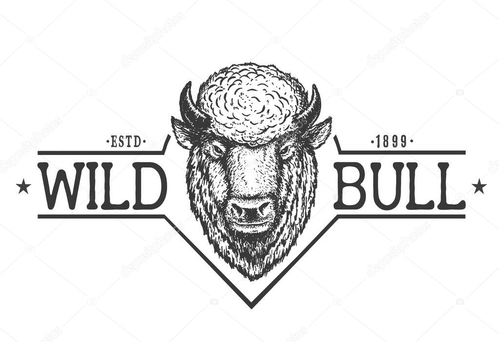 Wild bull logo.Printable design .Vector illustration