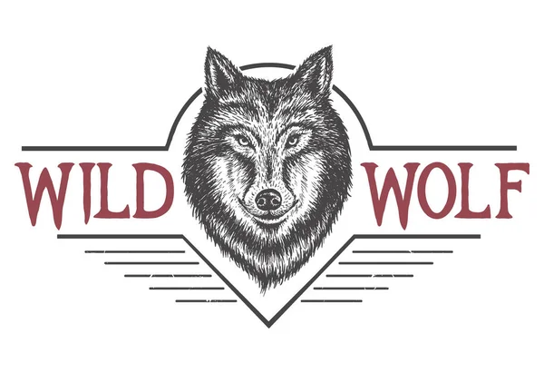 Loup sauvage vecteur — Image vectorielle