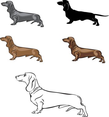 Dachshund, dachshund figürü, vektör, farklı pozisyonlar, illüstrasyon, siyah ve beyaz, siluet
