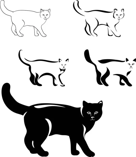 Gatos Imagen Negra Varias Posiciones Sesión Gato Tumbado Caminar Jugar — Vector de stock