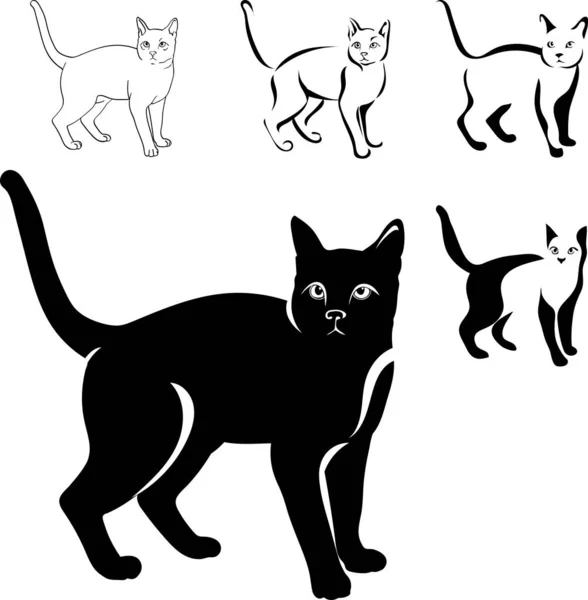 Koty Czarny Obraz Różnych Pozycjach Kot Siedzi Leżąc Chodzenie Gra — Wektor stockowy