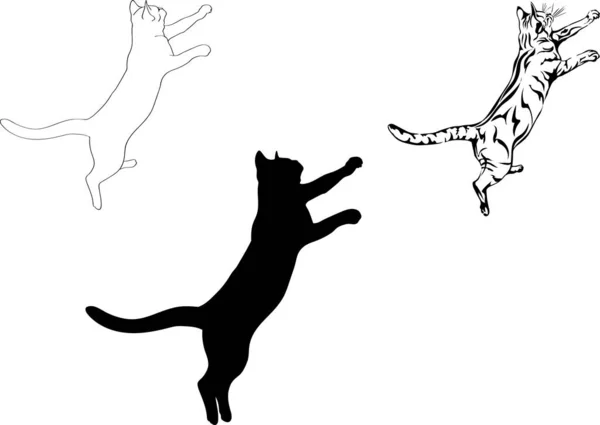 Salto Gato Diferentes Opciones Gráficas Imagen — Vector de stock