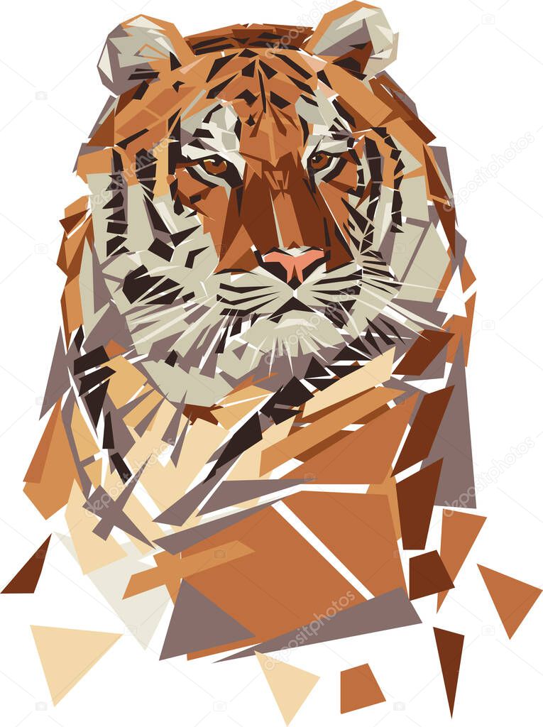 tiger, portrait, black, colored, stylized, line, line drawing, geometric pattern