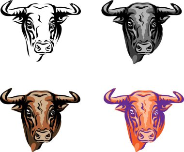 Boğa, boğa kafasının çeşitli görüntüleri, çeşitli grafikler ve renkli resimler, baş, renk, vektör, hayvan, portre