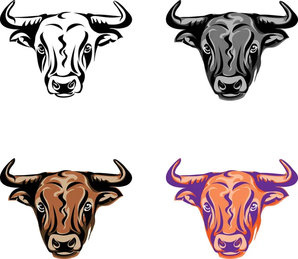 Bull Διάφορες Εικόνες Της Κεφαλής Του Ταύρου Διάφορα Γραφικά Και — Διανυσματικό Αρχείο