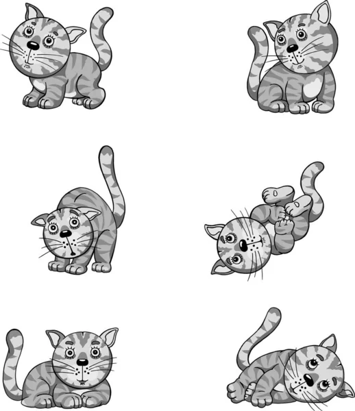 Смешные Изображения Котенка Различных Позах Смешной Забавный Котенок — стоковый вектор