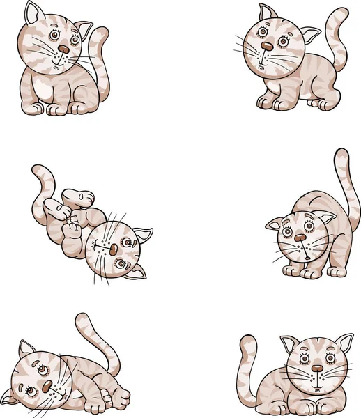 Legrační Obrázky Koťátka Různých Pózách Legrační Zábavné Koťátko — Stockový vektor