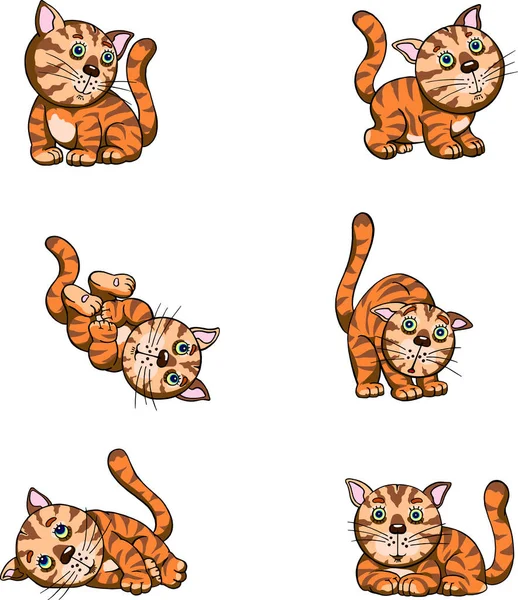 様々なポーズをした子猫の面白い画像面白い子猫 — ストックベクタ