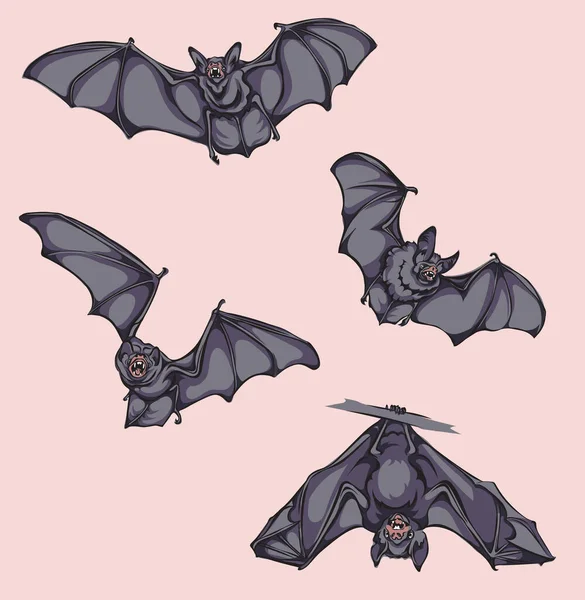 Chauve Souris Chauve Souris Vol Mouvement Dans Différentes Positions Couleur — Image vectorielle