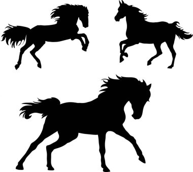 At, çizim, siyah, siluet, sembol, illüstrasyon, görüntü, resim, izole edilmiş, vektör, çizgi, dörtnala, baş, yele, aygır, stok yükseltme, kısrak, dış hat, hız, memeliler, ağızlık, otlak, alan, atlama, yarışmalar, spor, stilizasyon, koşu