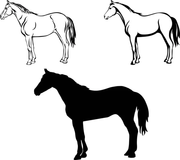 Caballo Dibujo Negro Silueta Símbolo Ilustración Imagen Fotografía Aislado Vector — Archivo Imágenes Vectoriales