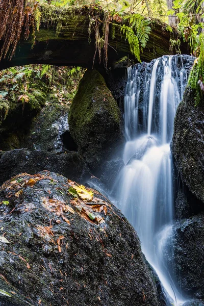 Una pequeña cascada en las montañas de California — Foto de Stock