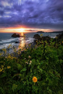 Humboldt County, Kaliforniya'da bir deniz manzarası gün batımı