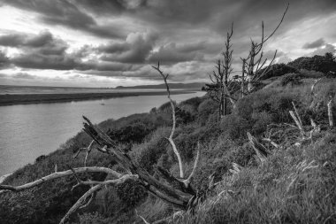 Mad Nehri, Humboldt County, Kaliforniya, Siyah ve Beyaz