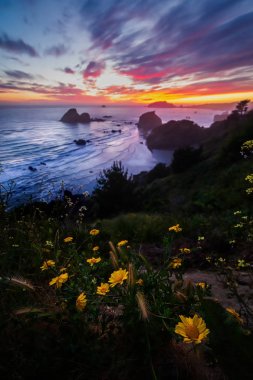 Kuzey Kaliforniya'da Bir Seascape Sunset, Abd