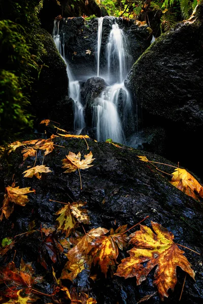 Ein kleiner Wasserfall im Herbst mit Ahornblättern — Stockfoto