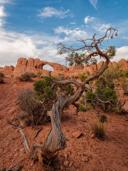 Paesaggio Vista Dal Parco Nazionale Dell Arches Utah Usa Immagine — Foto Stock