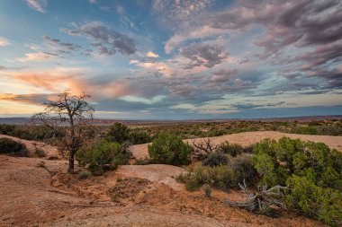 Utah, ABD 'deki Arches Ulusal Parkı' ndan manzara. Renkli Resim.