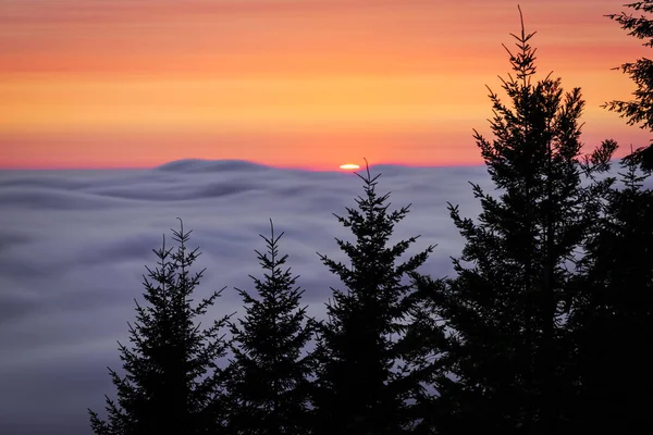 Ein bunter Sonnenuntergang in den Bergen Nordkaliforniens — Stockfoto