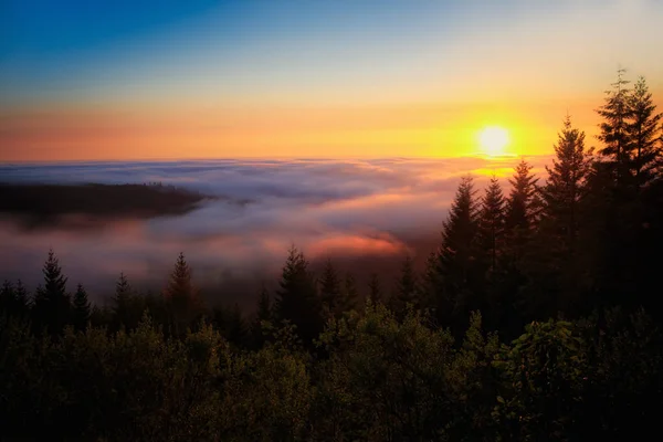 Барвисте сонце в горах Північної Каліфорнії — стокове фото