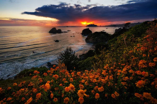 Pôr-do-sol Seascape no norte da Califórnia — Fotografia de Stock