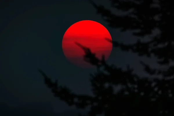 Pôr do sol através de fumaça de fogo selvagem, norte da Califórnia, EUA Fotografia De Stock