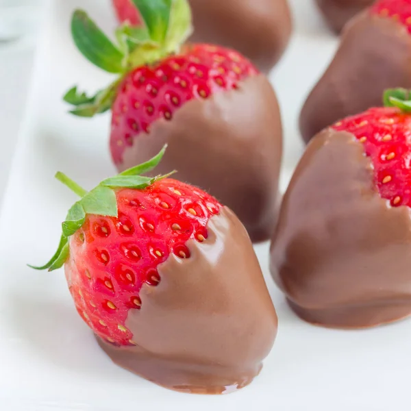 Erdbeeren Mit Vollmilchschokolade Auf Weißem Teller Nahaufnahme Quadratisch — Stockfoto