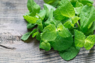 Tahta bir masada taze nane yaprakları, yatay, kopyalama alanı