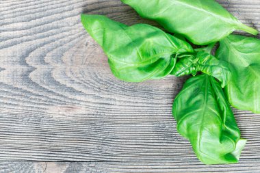 Gri ahşap zemin üzerinde taze fesleğen yaprakları, yatay, kopyalama alanı, üst görünüm