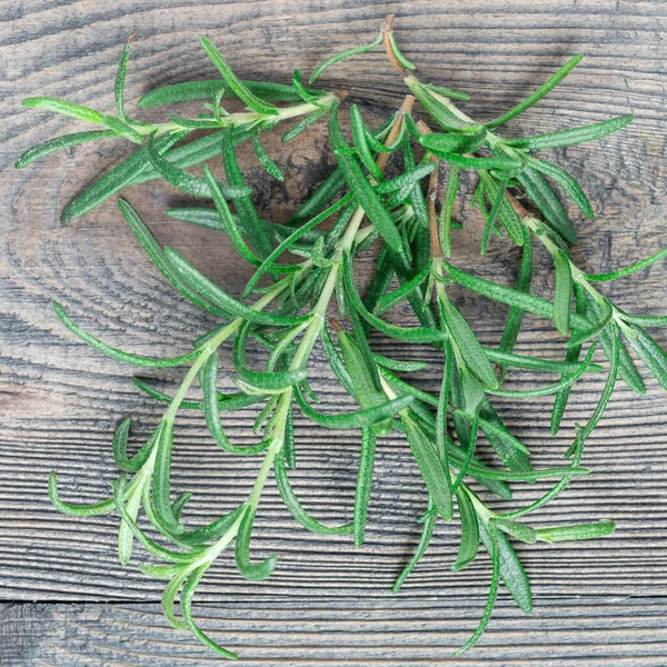 Bunch Fresh Rosemary Twigs Gray Wooden Background Square Format Top — Stock Photo, Image