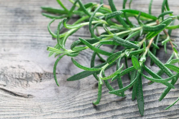 Stelletje Verse Rozemarijn Twijgen Een Grijze Houten Achtergrond Horizontaal Kopieerruimte — Stockfoto