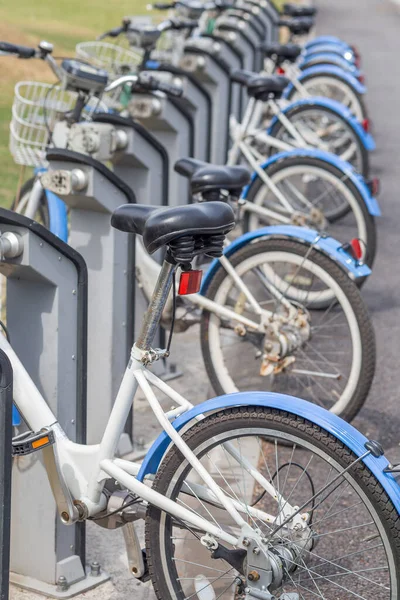 Public Parking Rental Bicycles South Korea Daejeon Vertical Closeup — Stock Photo, Image