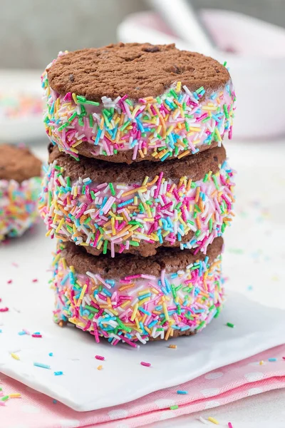 Домашний Сэндвич Мороженым Шоколадным Печеньем Арбузное Мороженое Покрытое Красочными Брызгами — стоковое фото