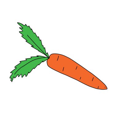 Beyaz arka planda yaprakları olan turuncu bir havuç, karikatür tarzı vektör çizimi