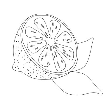 Elle çizilmiş limon yapraklı, çizgi film stili, siyah çizgili, raster resimli.
